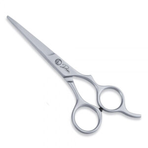 Economy Hair Scissors