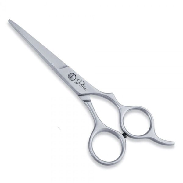 Economy Hair Scissors