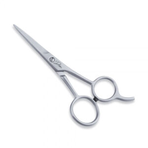 Economy Hair Scissors